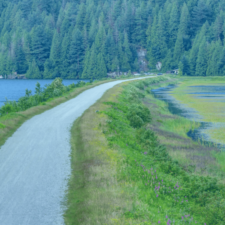 View of Pitt Lake by Pitt Meadows, British Columbia