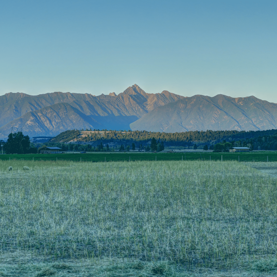 Mountain range outside of Cranbrook, Canada